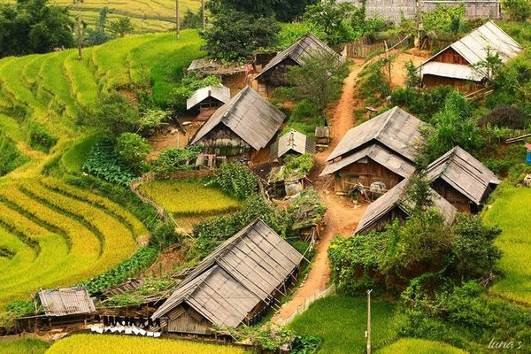 Overnight Sapa Trekking Tour with Homestay