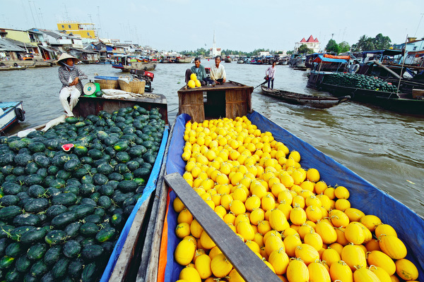 Through some of the Mekong Delta’s Hidden Gems on The Bicycle