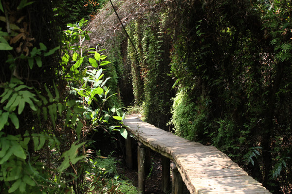 The Mekong Delta Ecology Site with Historical Remains and Local Life
