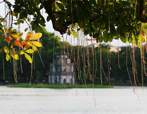 Ha Noi