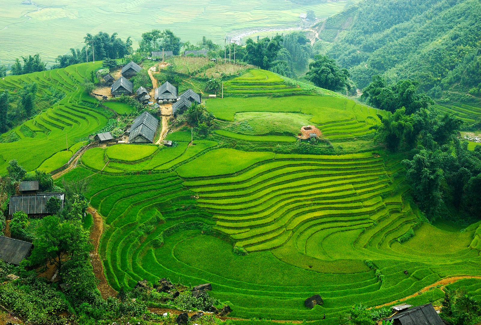 Sapa